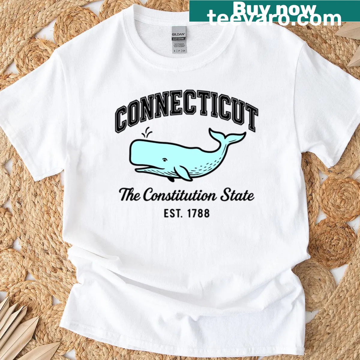 Illustrated T-shirt celebrating Connecticut's landmarks and culture — on a men's t-shirt