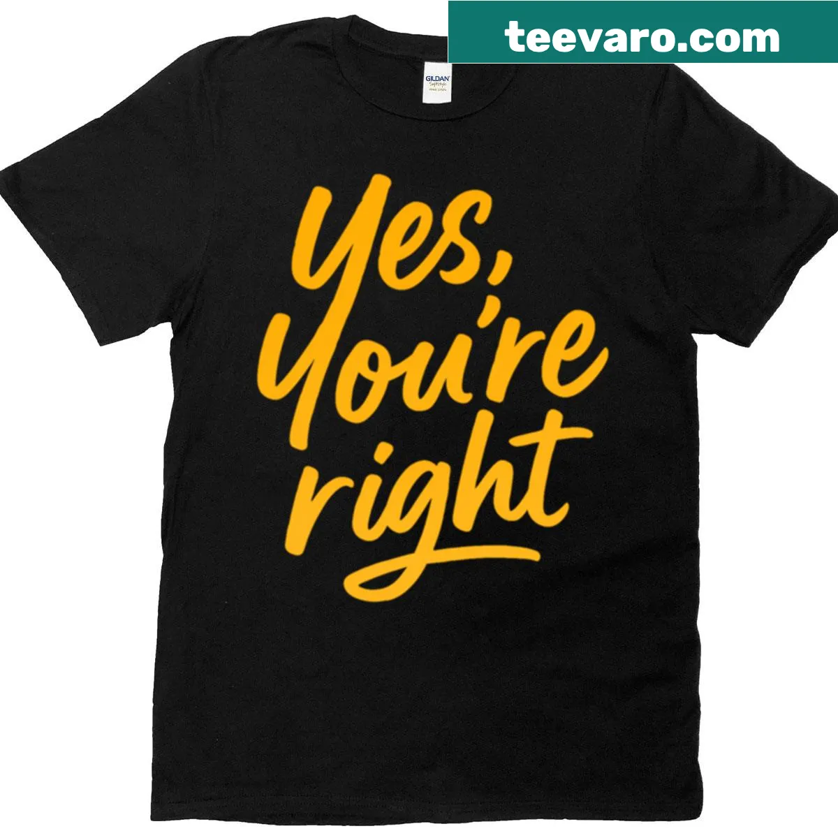 Humorous t-shirt featuring the phrase 'Yes You're Right' in playful typography. — on a men's t-shirt