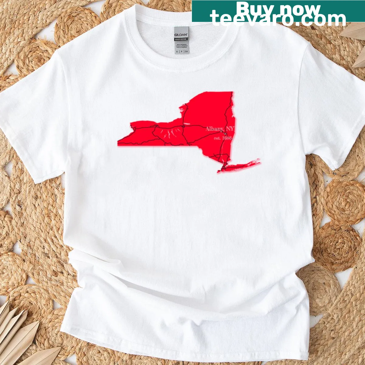 Badge-emblem representing Albany, New York on T-shirt — on a men's t-shirt