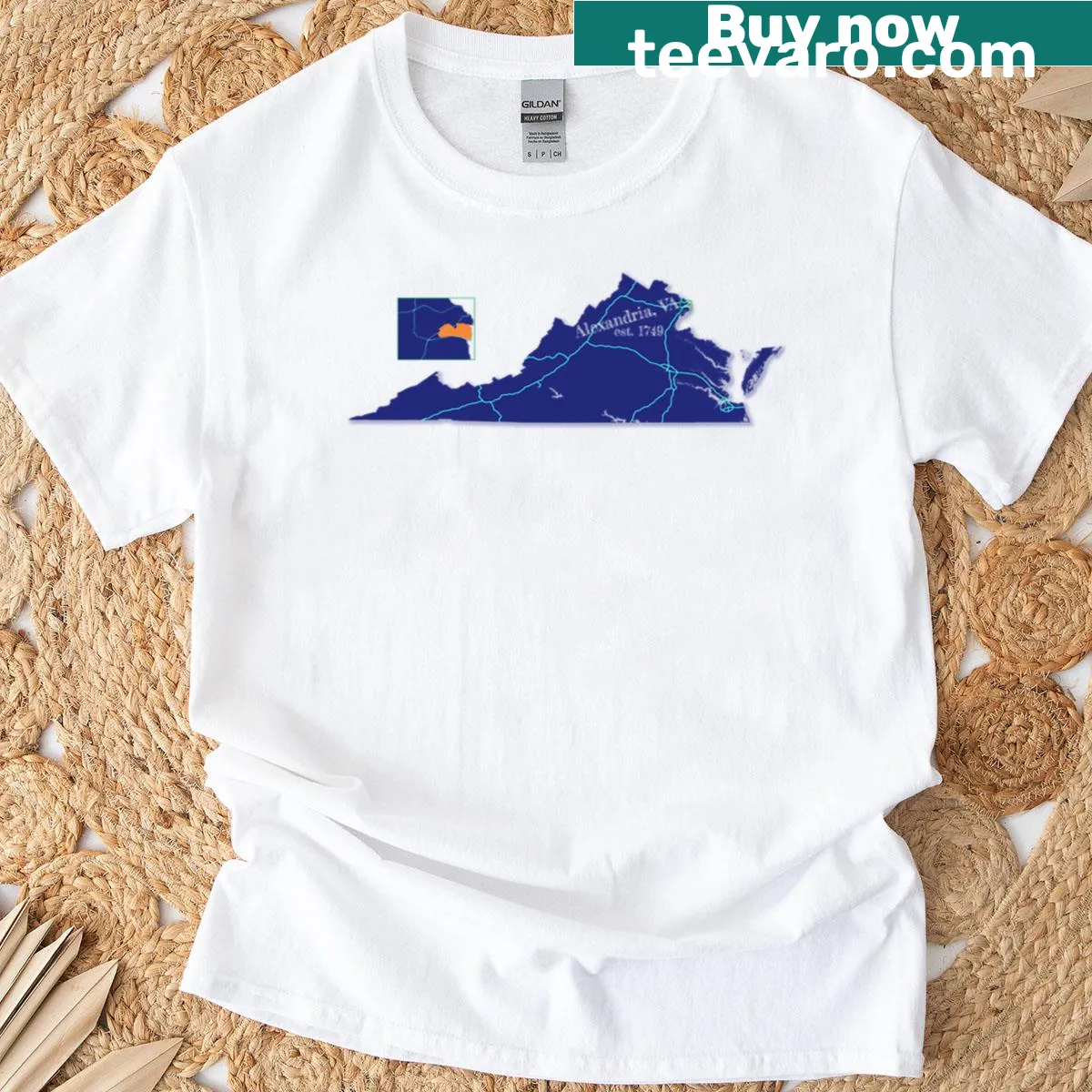 Oversized Alexandria VA T-shirt with city name — on a men's t-shirt