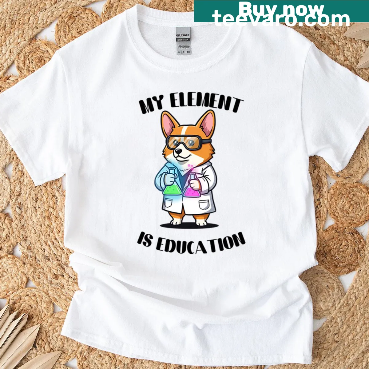 Cartoon of a science teacher with a pet in a lab coat on a t-shirt — on a men's t-shirt