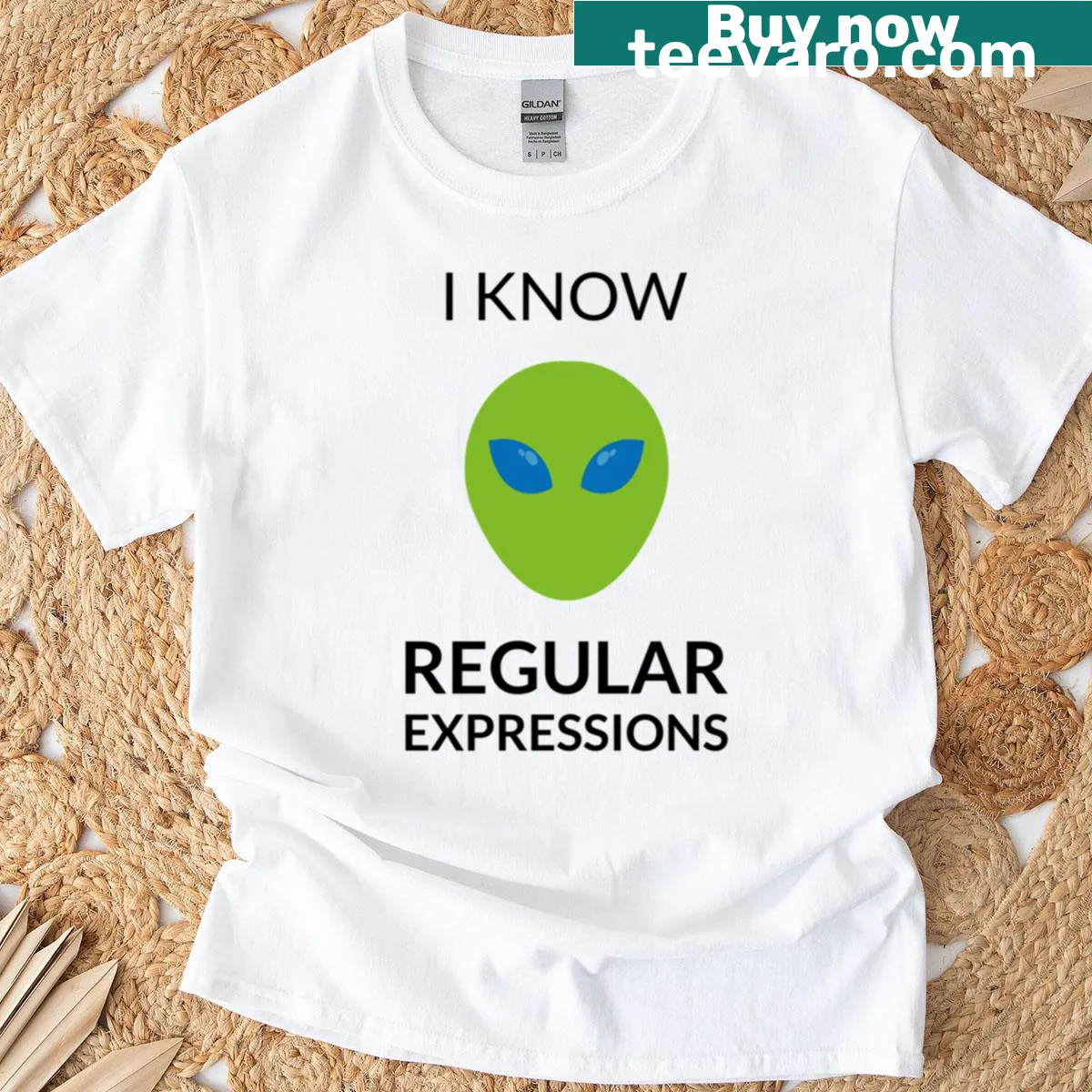 T-shirt featuring the phrase 'I Know Regular Expressions' in bold typography — on a men's t-shirt