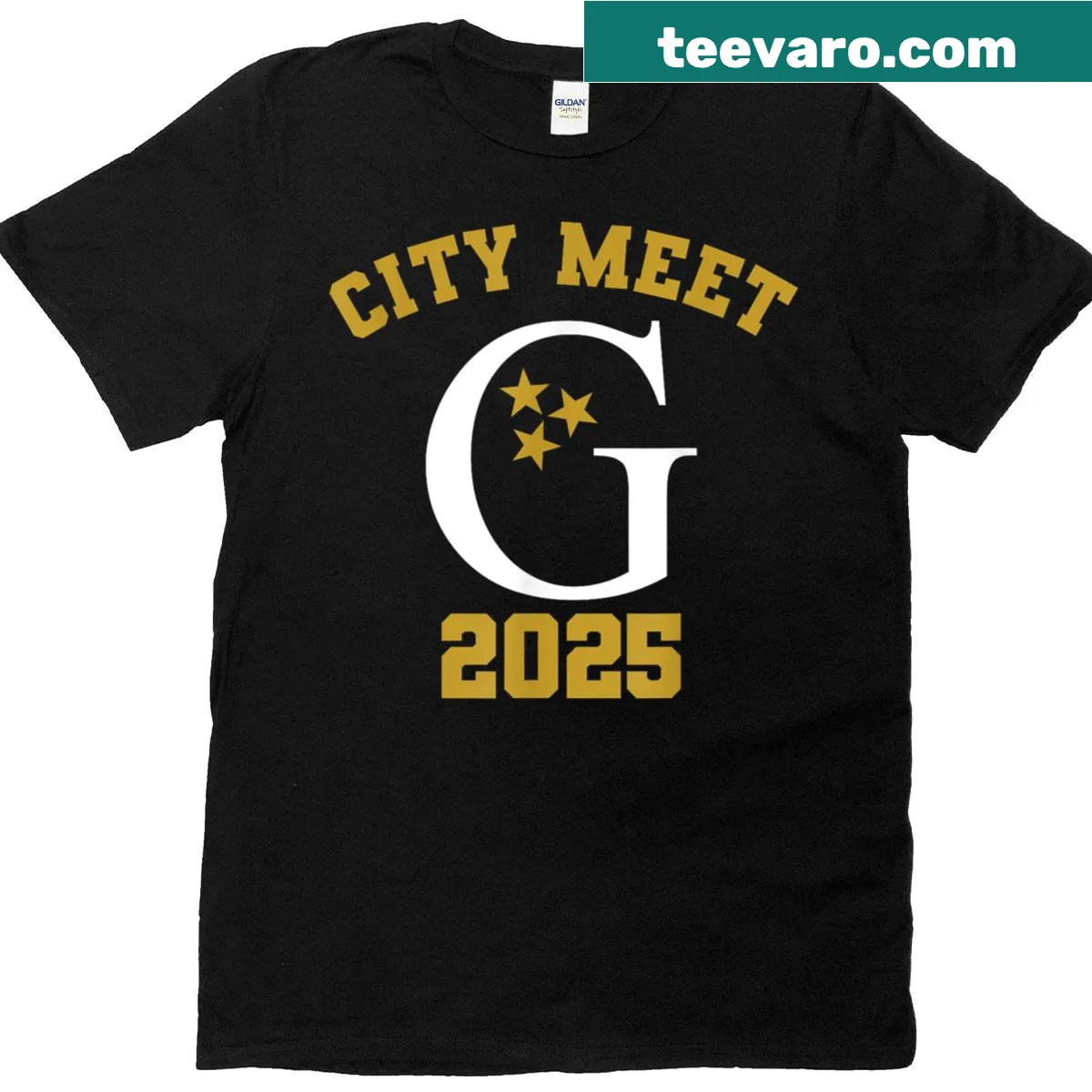 Illustrative T-shirt for Gettysvue Swim Team City Meet 2025 — on a men's t-shirt
