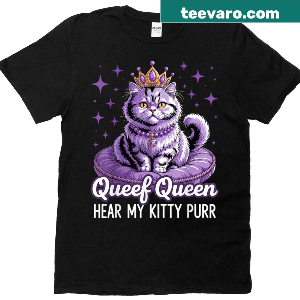 Whimsical t-shirt featuring a crowned cat and humorous text — on a men's t-shirt
