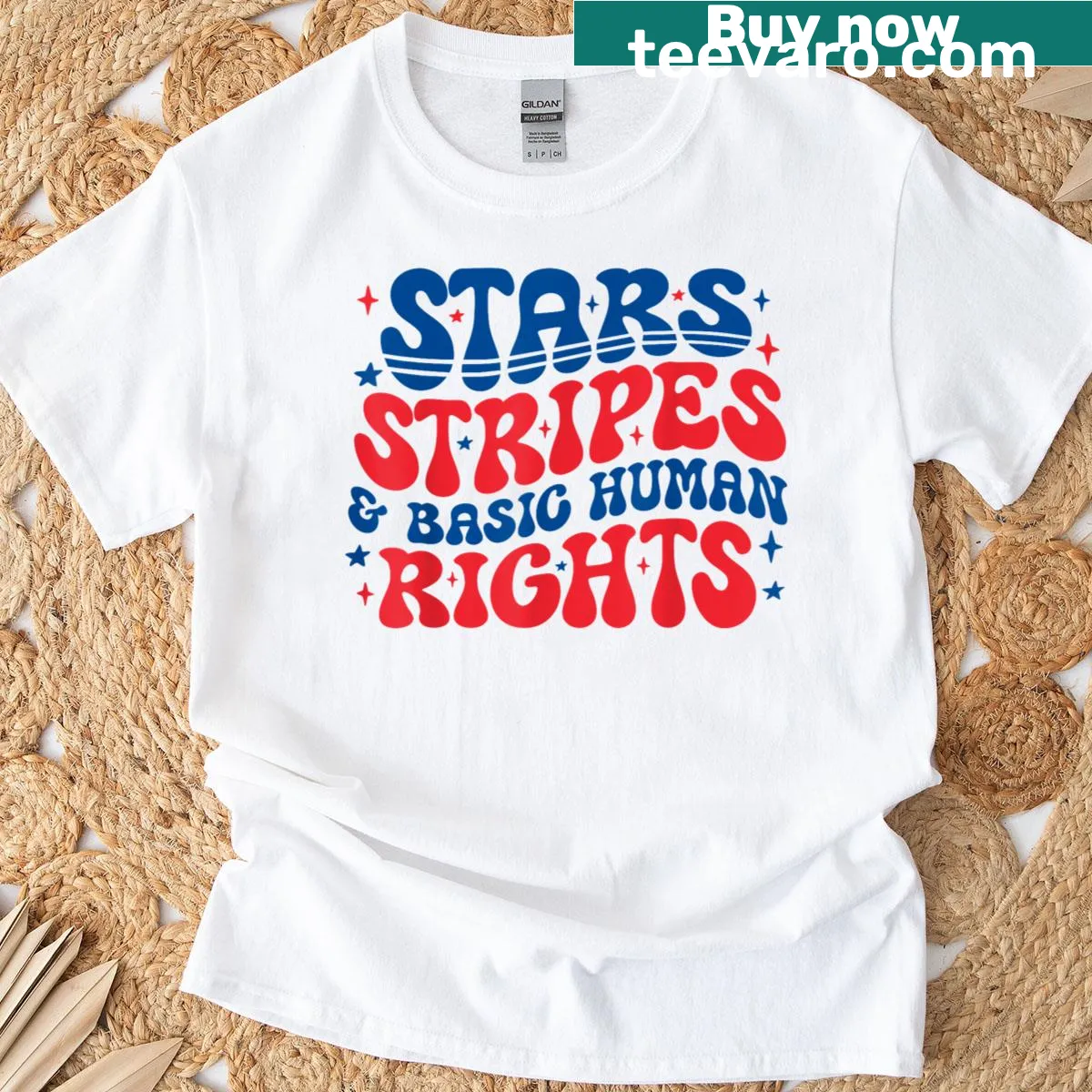 Funny political t-shirt with stars and stripes and human rights message — on a men's t-shirt
