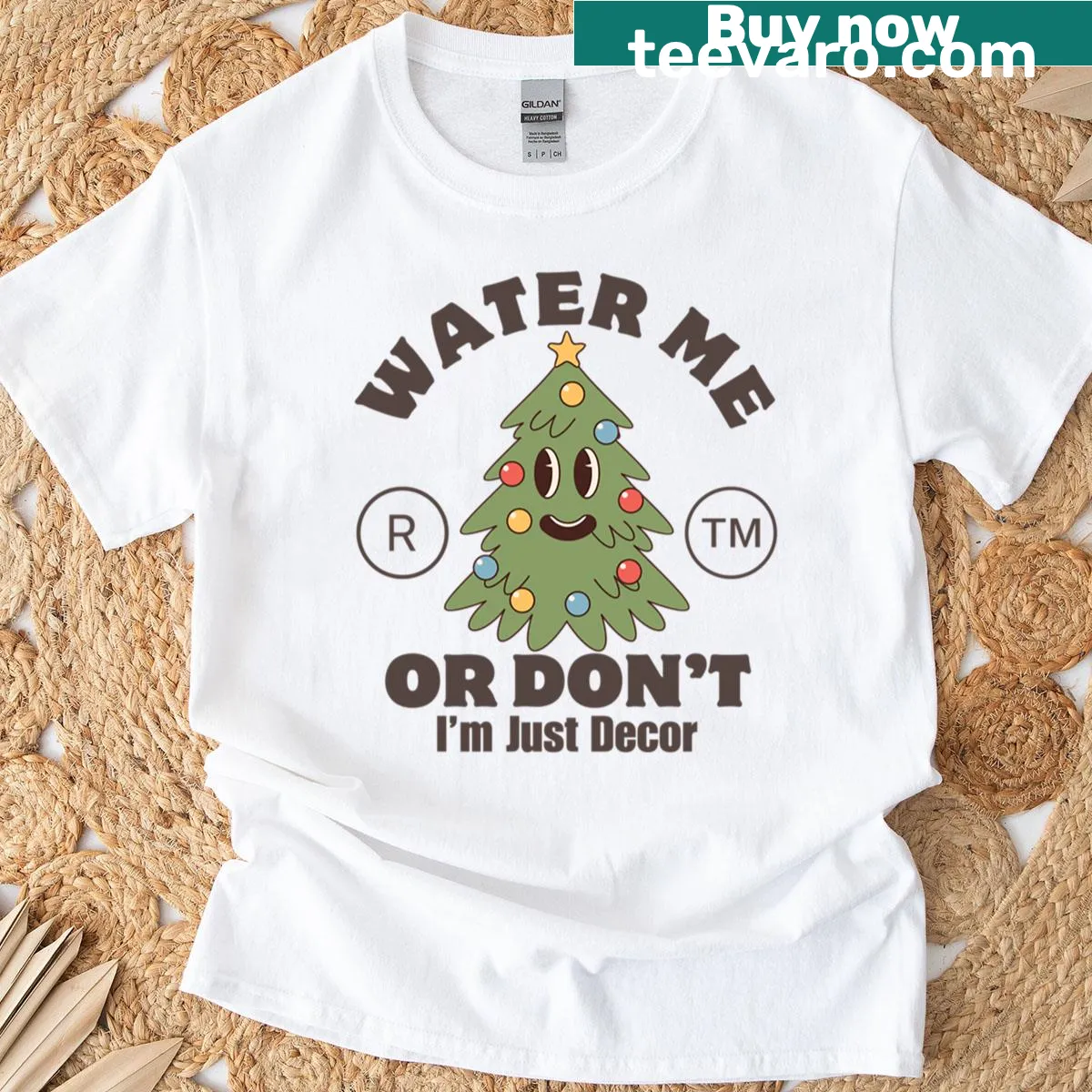Playful T-shirt with 'Water Me Or Don't I'm Just Decor' text — on a men's t-shirt