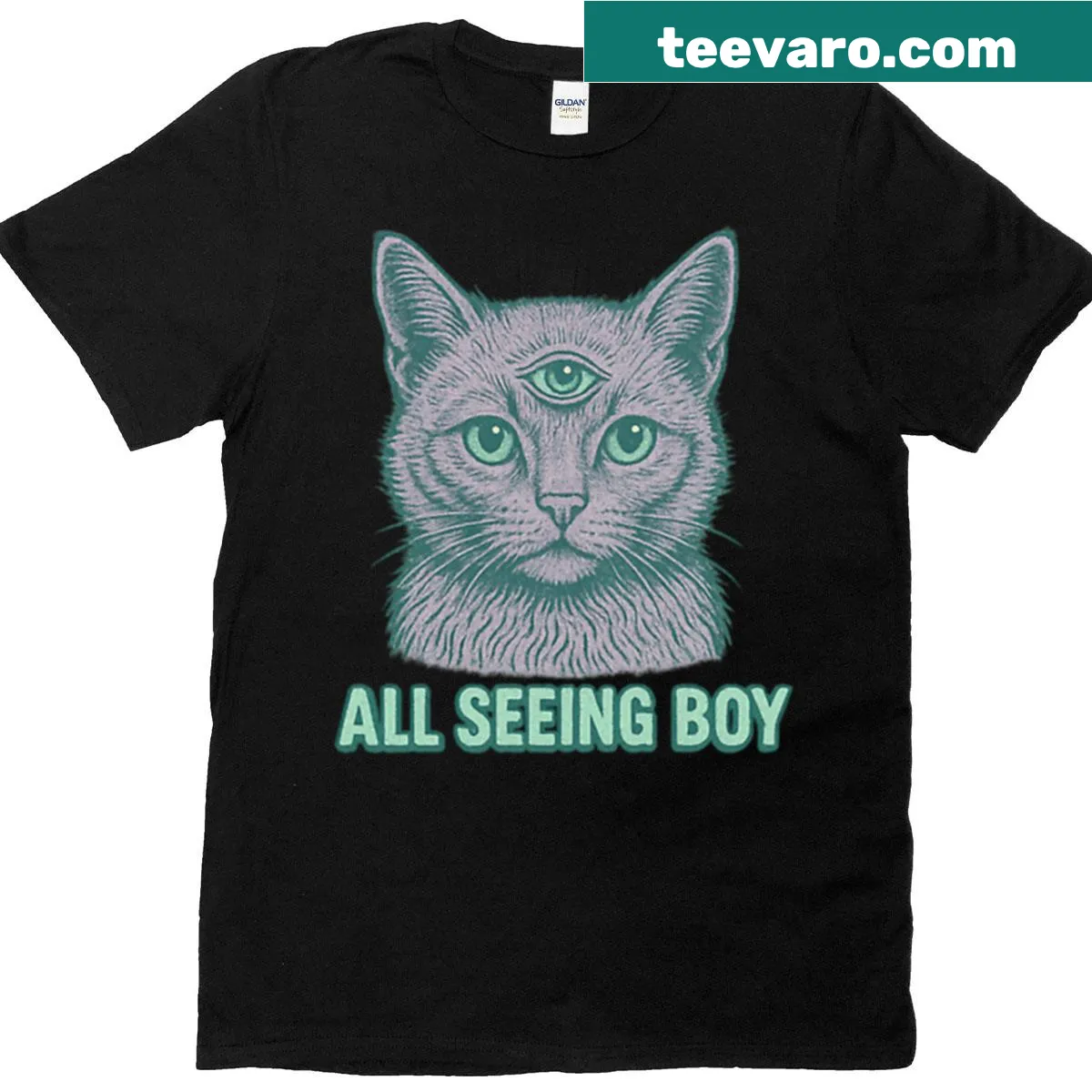 Bold graphic featuring the phrase 'All Seeing Boy' — on a men's t-shirt