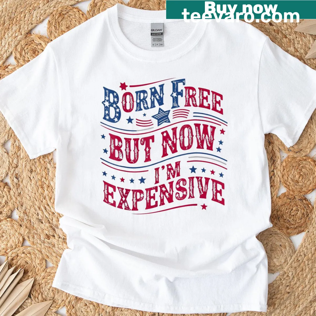Funny Fourth of July T-shirt with humorous text. — on a men's t-shirt