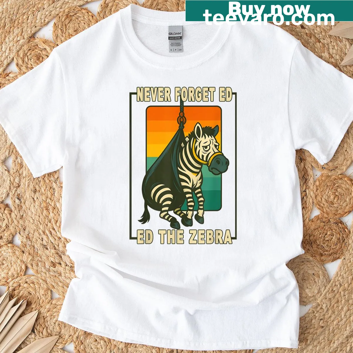 Charming illustration of Ed the Zebra on a fun t-shirt — on a men's t-shirt