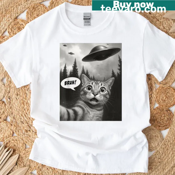 Cartoon cat selfie with UFOs, humorous graphic design.