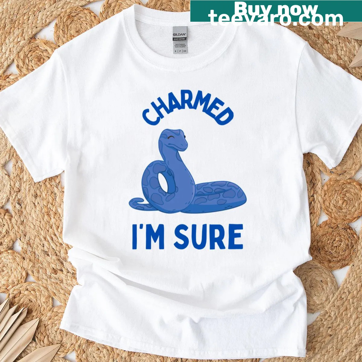 Illustration of a snake charmer on a T-shirt — on a men's t-shirt