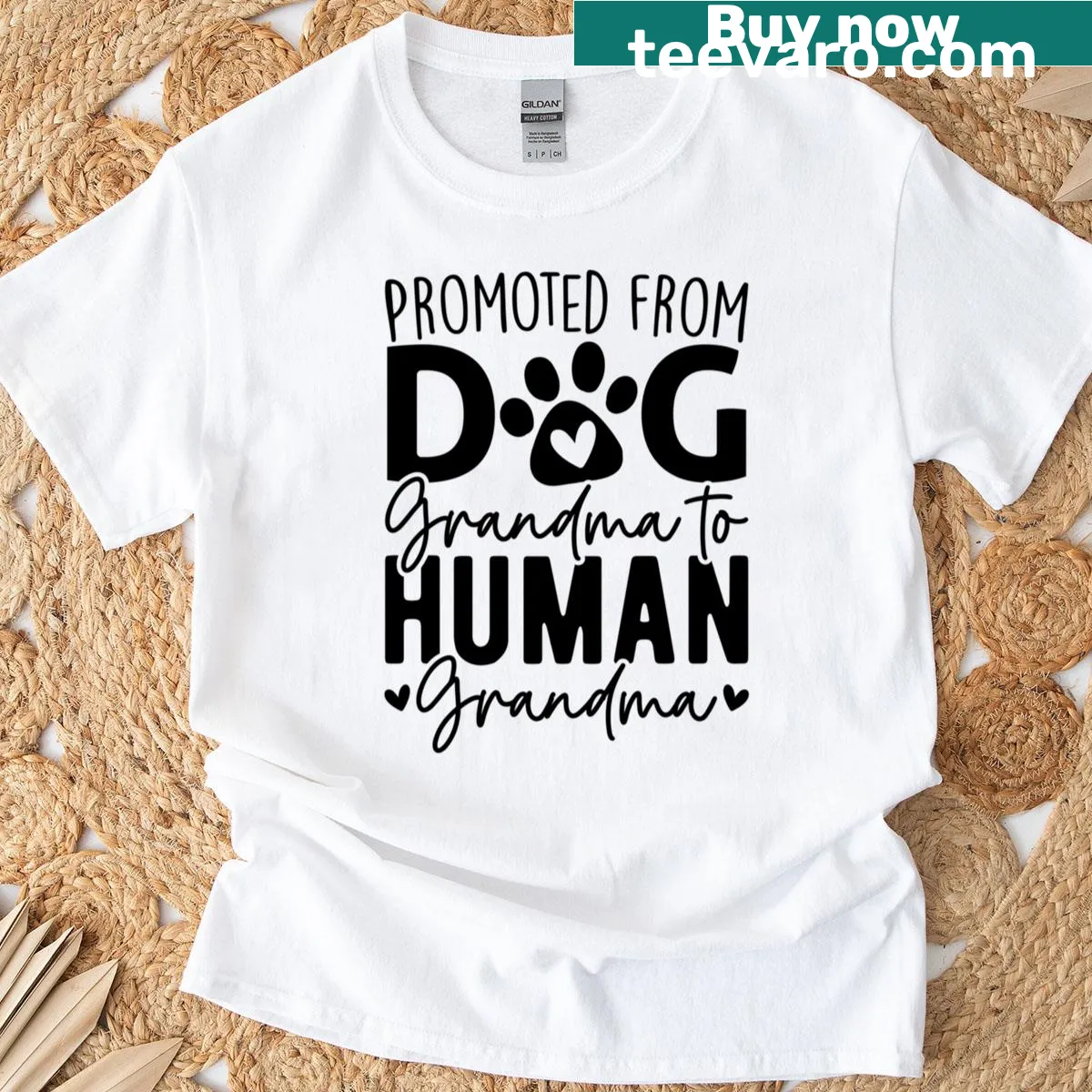 Pregnancy announcement t-shirt for grandmas with 'Promoted From Dog Grandma To Human Grandma' text — on a men's t-shirt