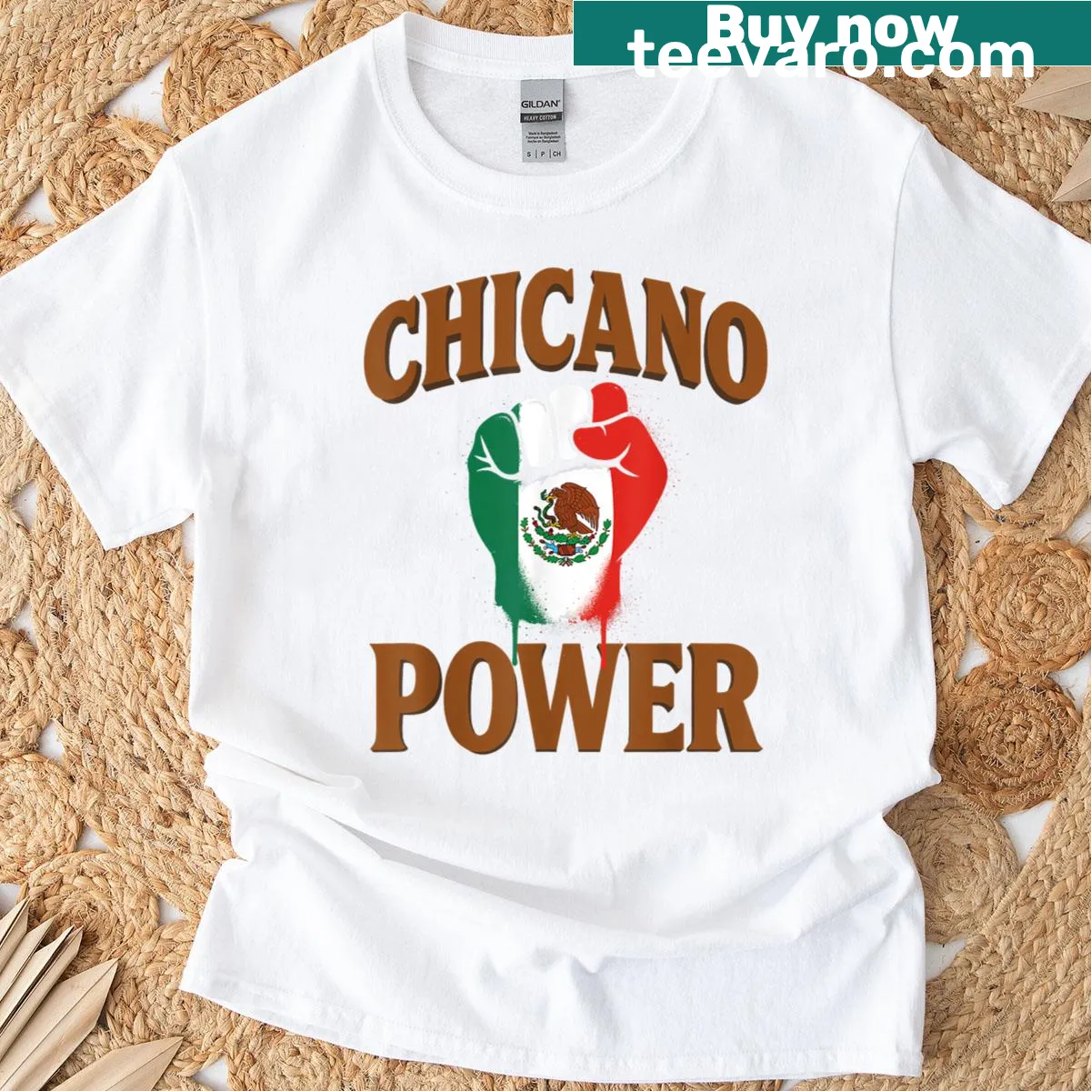 Mexican flag and Chicano Power slogan illustration on T-shirt — on a men's t-shirt