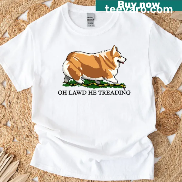 Funny oversized t-shirt with a cartoon corgi and humorous phrase