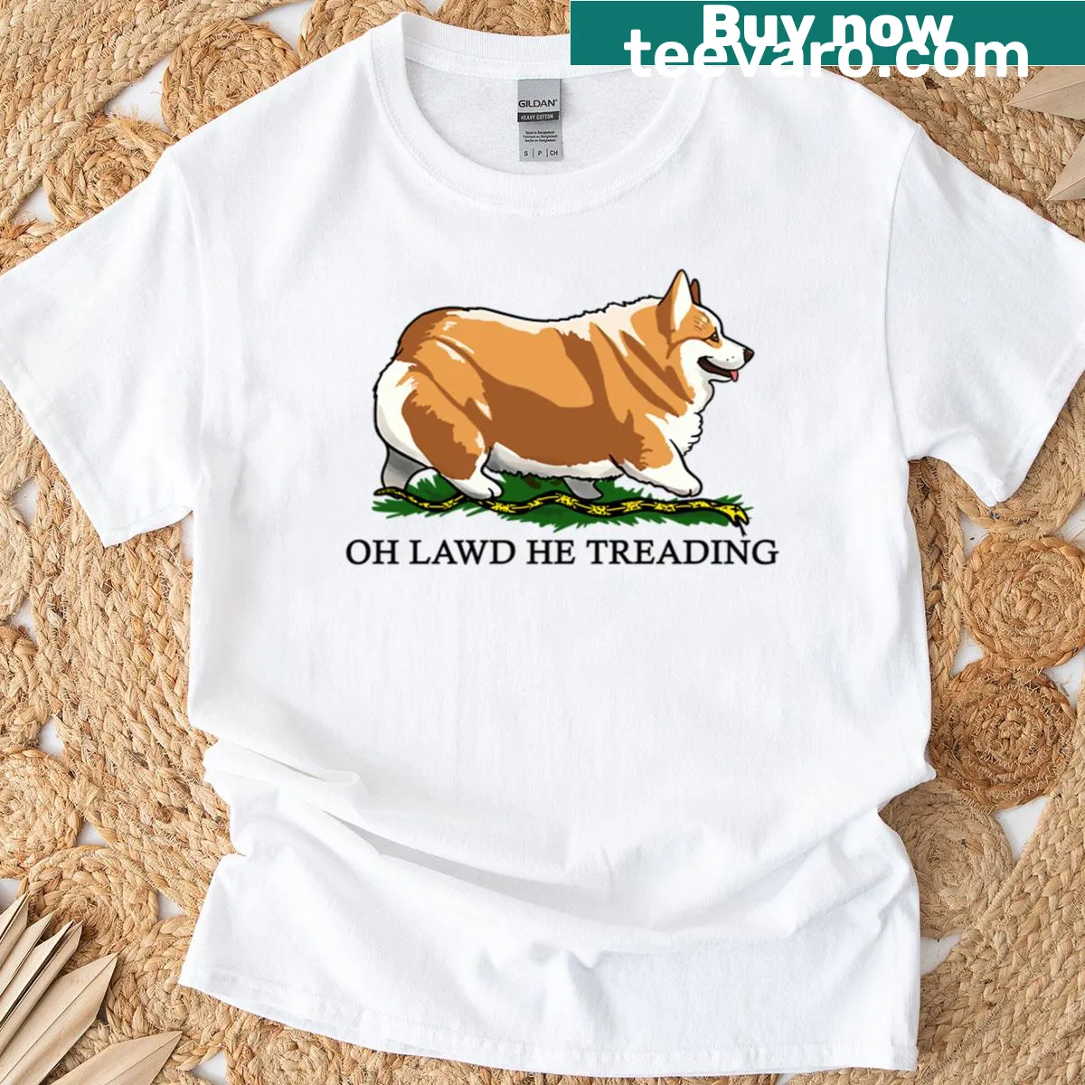 Funny oversized t-shirt with a cartoon corgi and humorous phrase — on a men's t-shirt