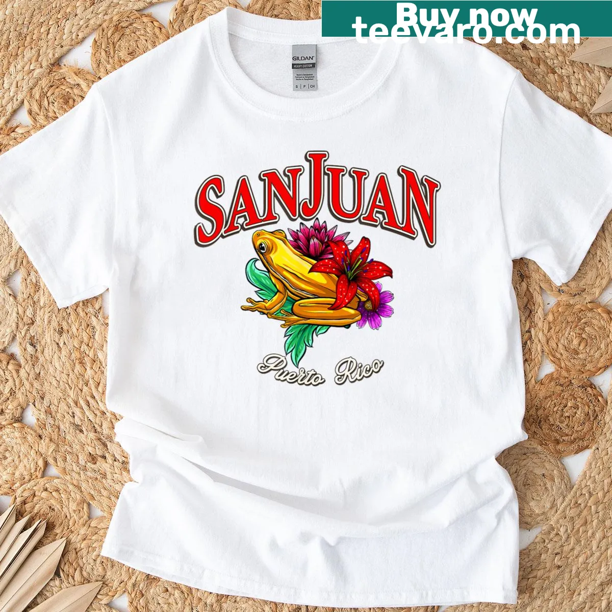 Illustration of a Coqui frog representing Puerto Rico on a T-shirt — on a men's t-shirt