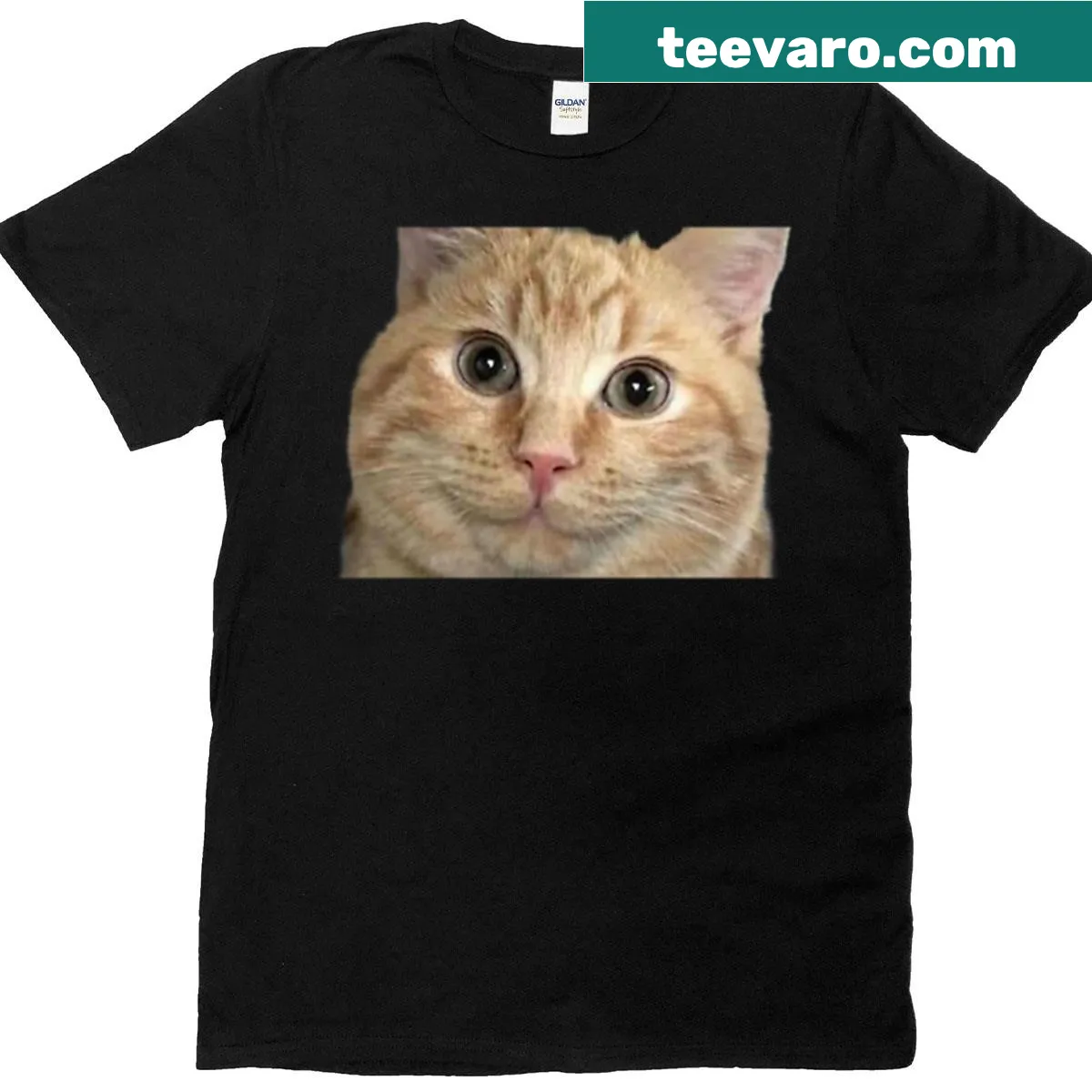Illustration of a surprised cat on a T-shirt. — on a men's t-shirt