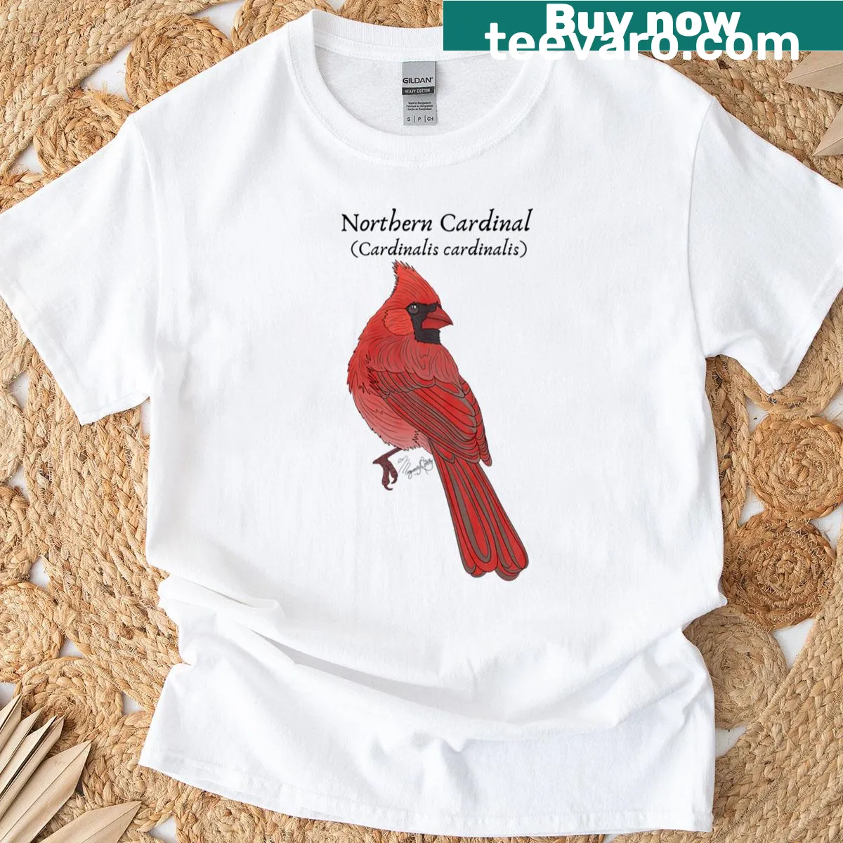 Vintage Northern Cardinal bird art on a distressed T-shirt — on a men's t-shirt