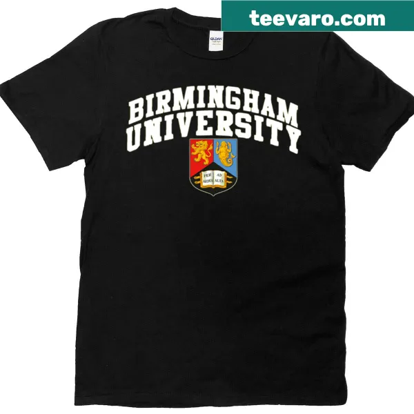Birmingham college font t-shirt in oversized style