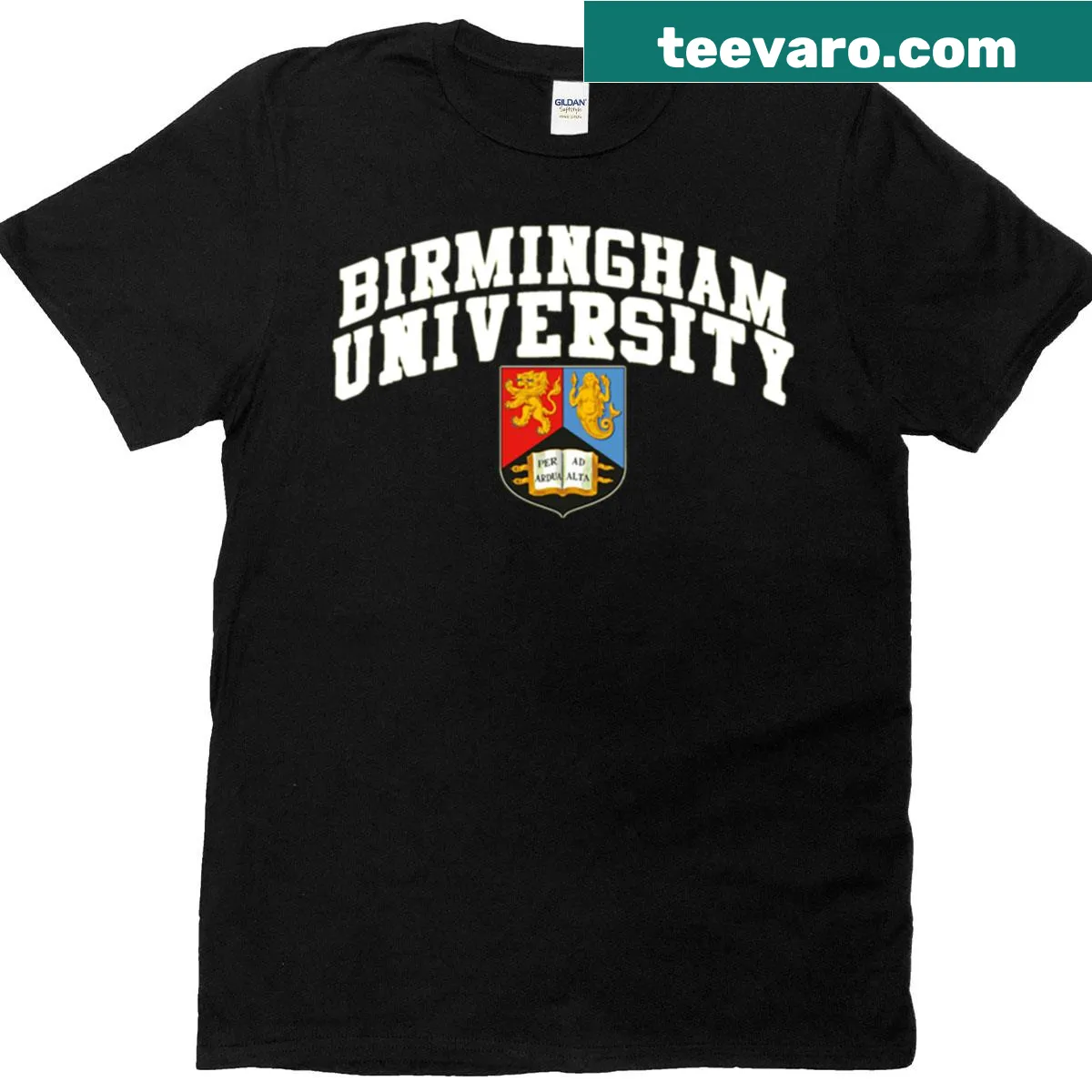 Birmingham college font t-shirt in oversized style — on a men's t-shirt