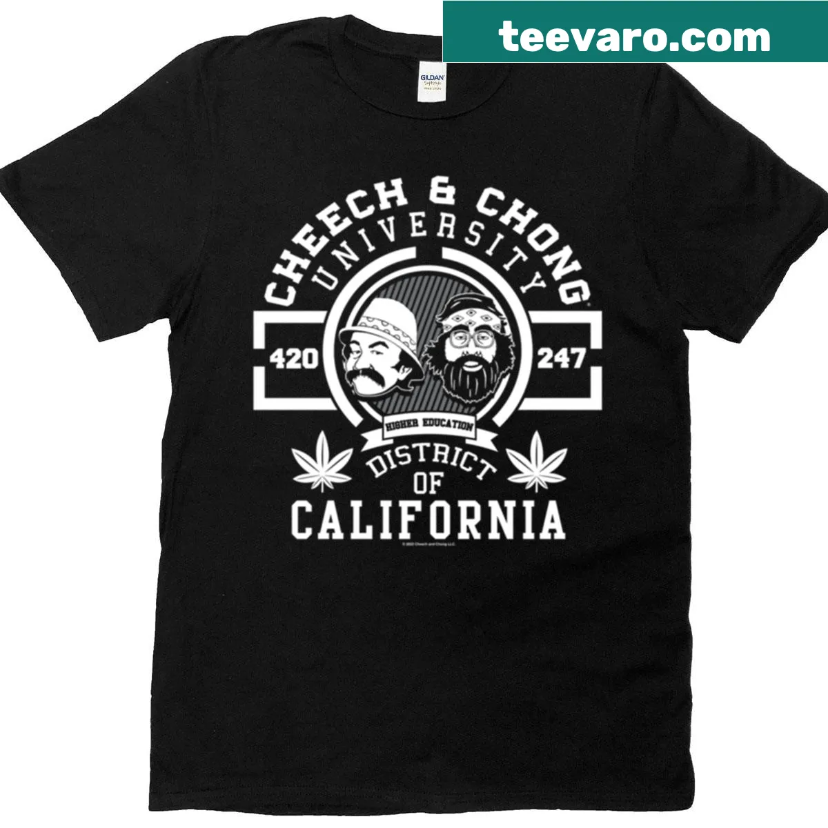 Playful Cheech Chong University logo illustration T-shirt — on a men's t-shirt