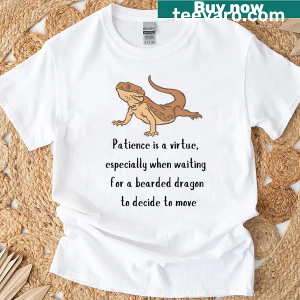 Humorous illustration of a dragon on a Funny T-shirt.