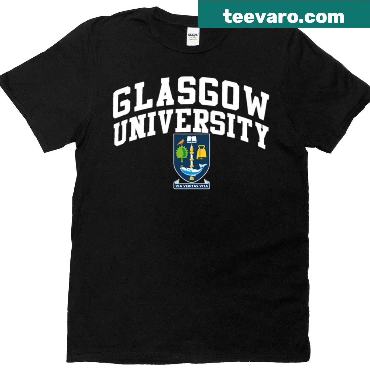 Glasgow College t-shirt with bold text design — on a men's t-shirt