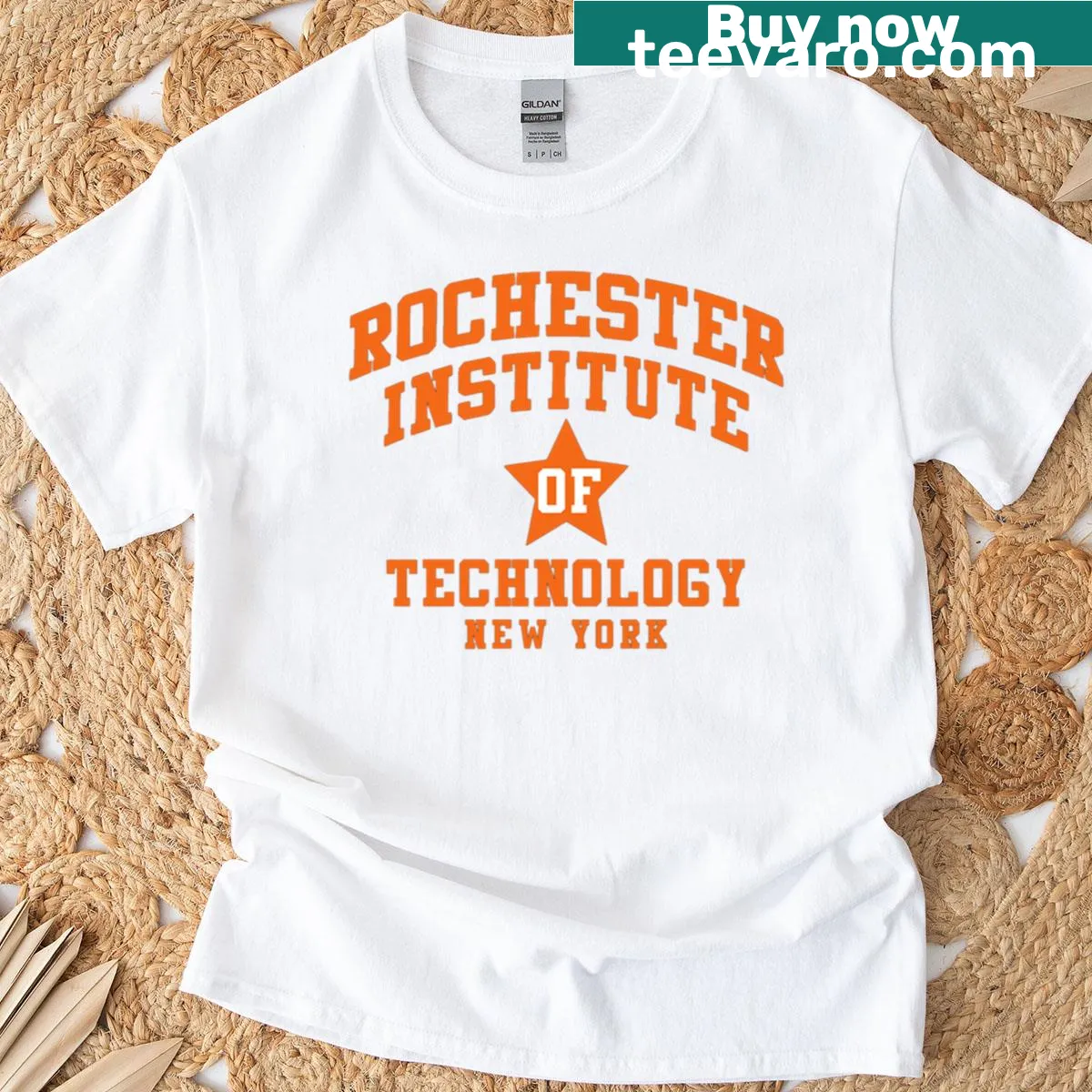 Rochester Institute logo t-shirt with minimalist typography — on a men's t-shirt