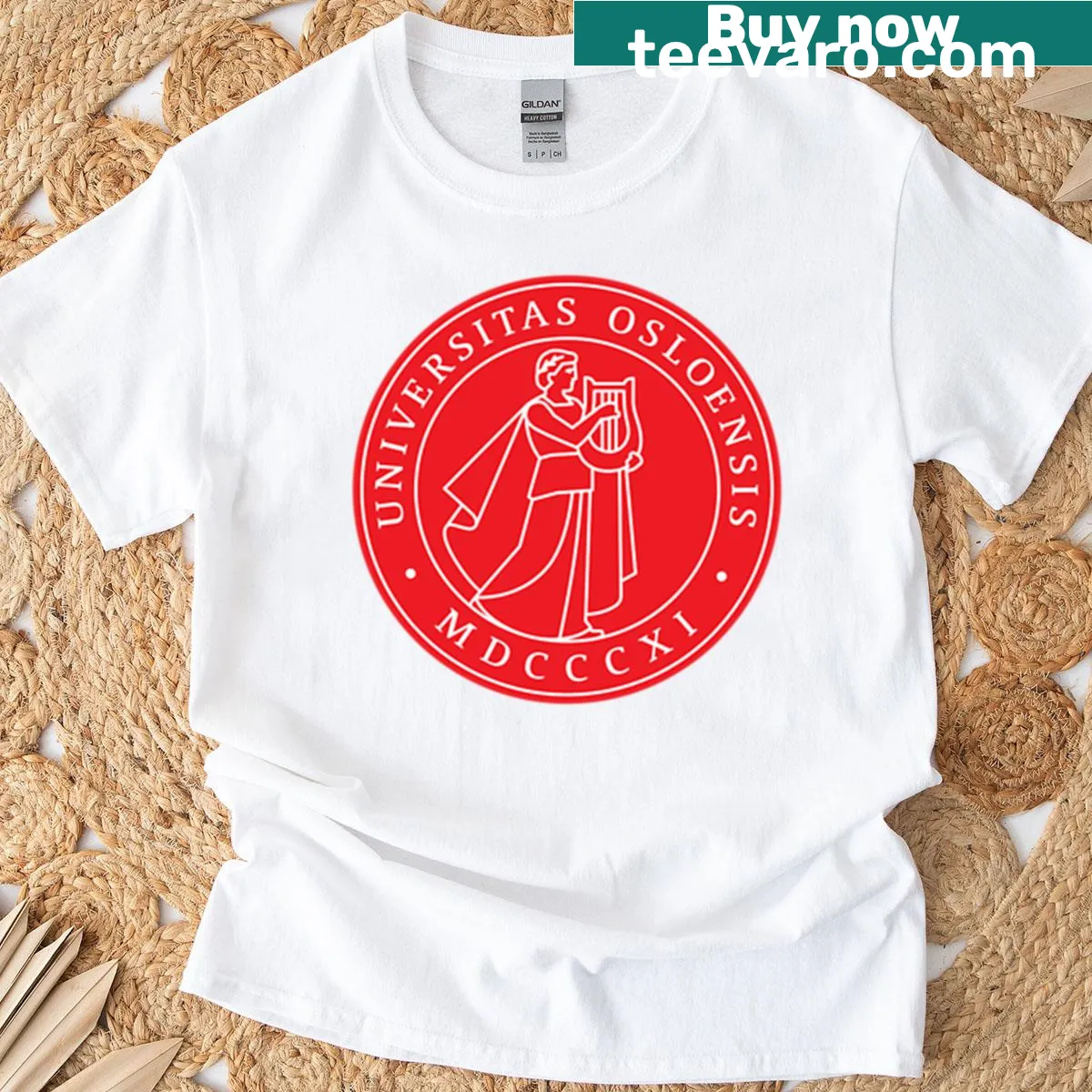 Cartoon-style Oslo University T-shirt with playful graphics — on a men's t-shirt
