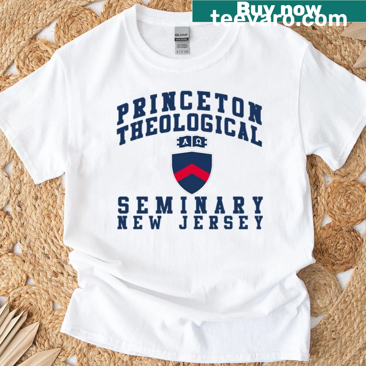 Graphic design celebrating PTSEM (Physical Therapy School of Education) in New Jersey — on a men's t-shirt