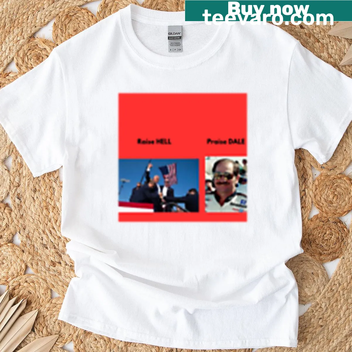 Oversized T-shirt with the playful slogan Raise Hell Praise Dale — on a men's t-shirt
