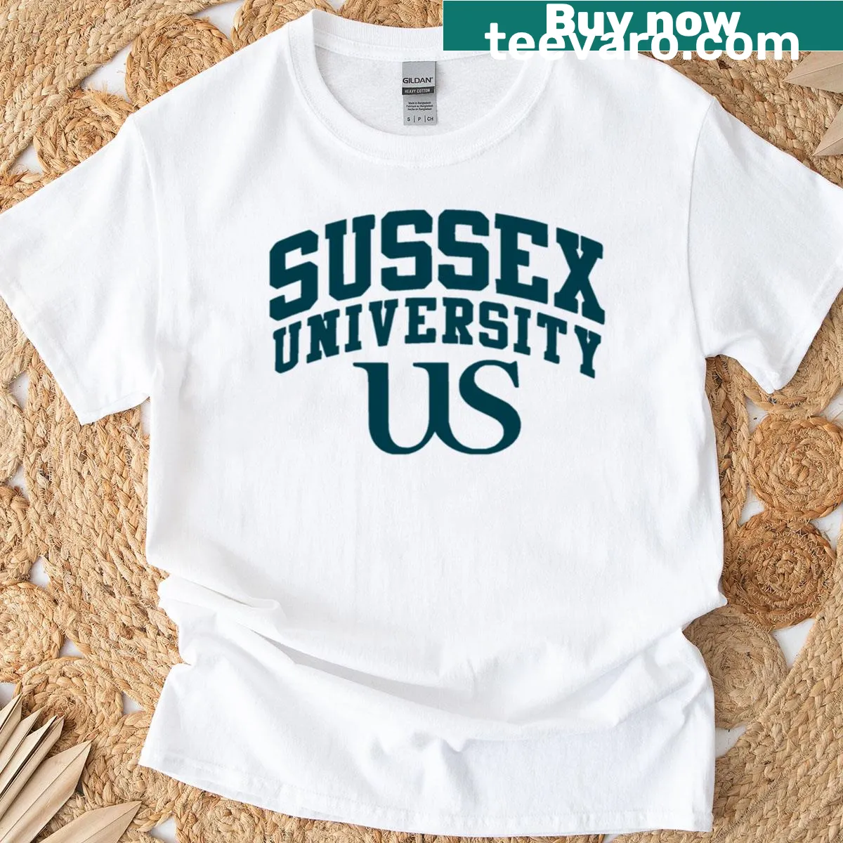 Illustrated Sussex University t-shirt showcasing campus details — on a men's t-shirt