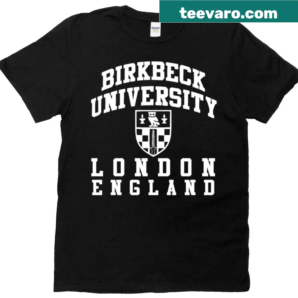 Vintage oversized Birkbeck University of London t-shirt with classic logo — on a men's t-shirt