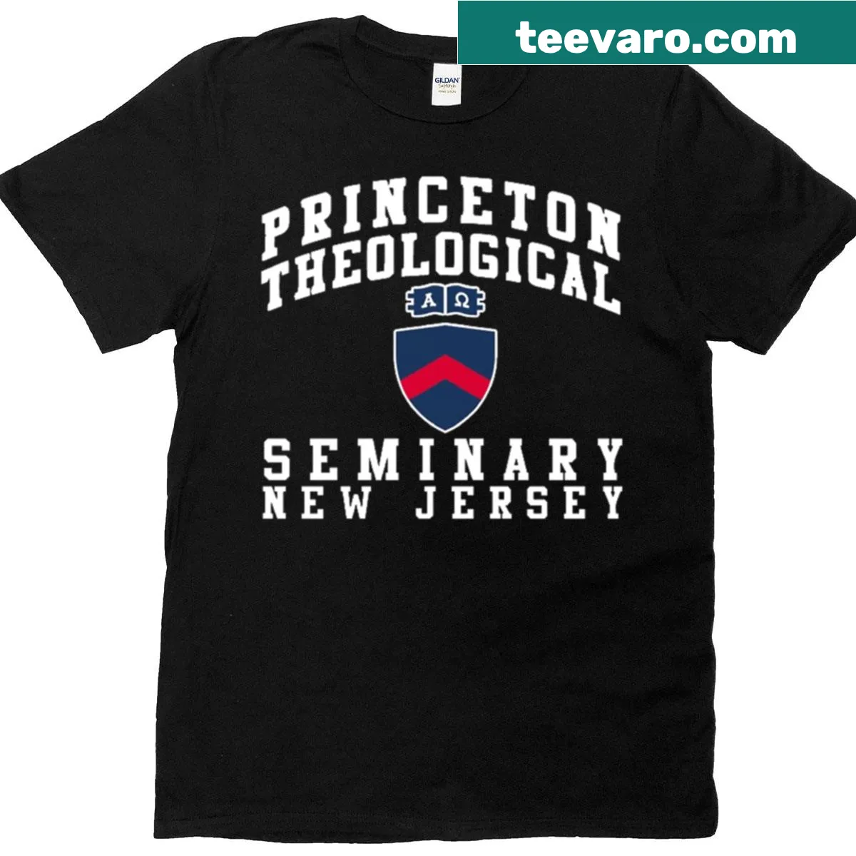Vintage tee featuring the Princeton Theological Seminary design in faded text — on a men's t-shirt