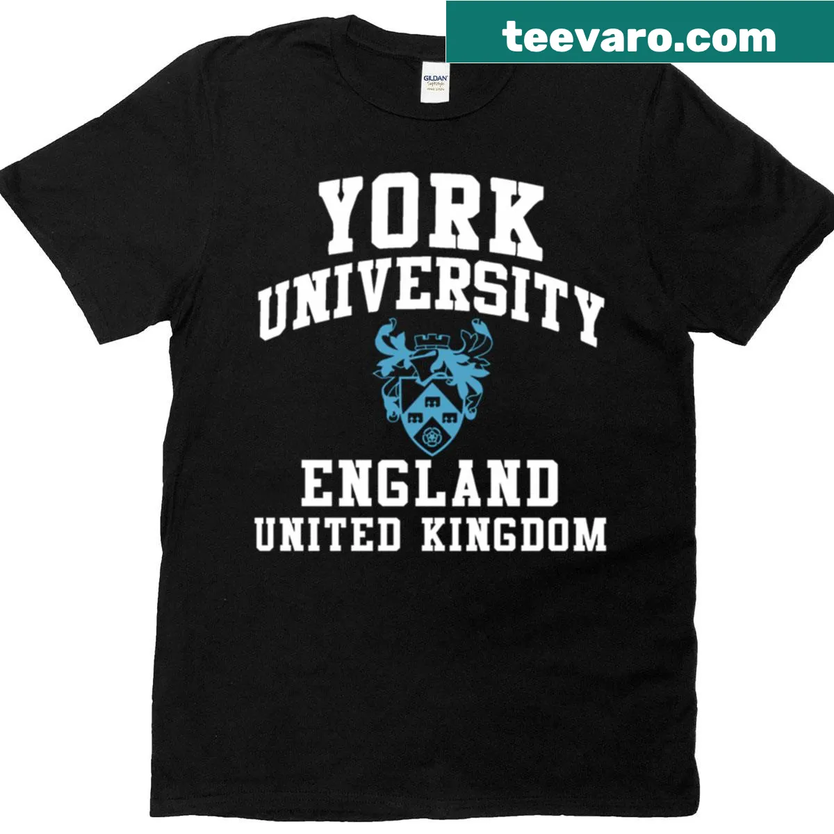 Vintage distressed University of York T-shirt — on a men's t-shirt