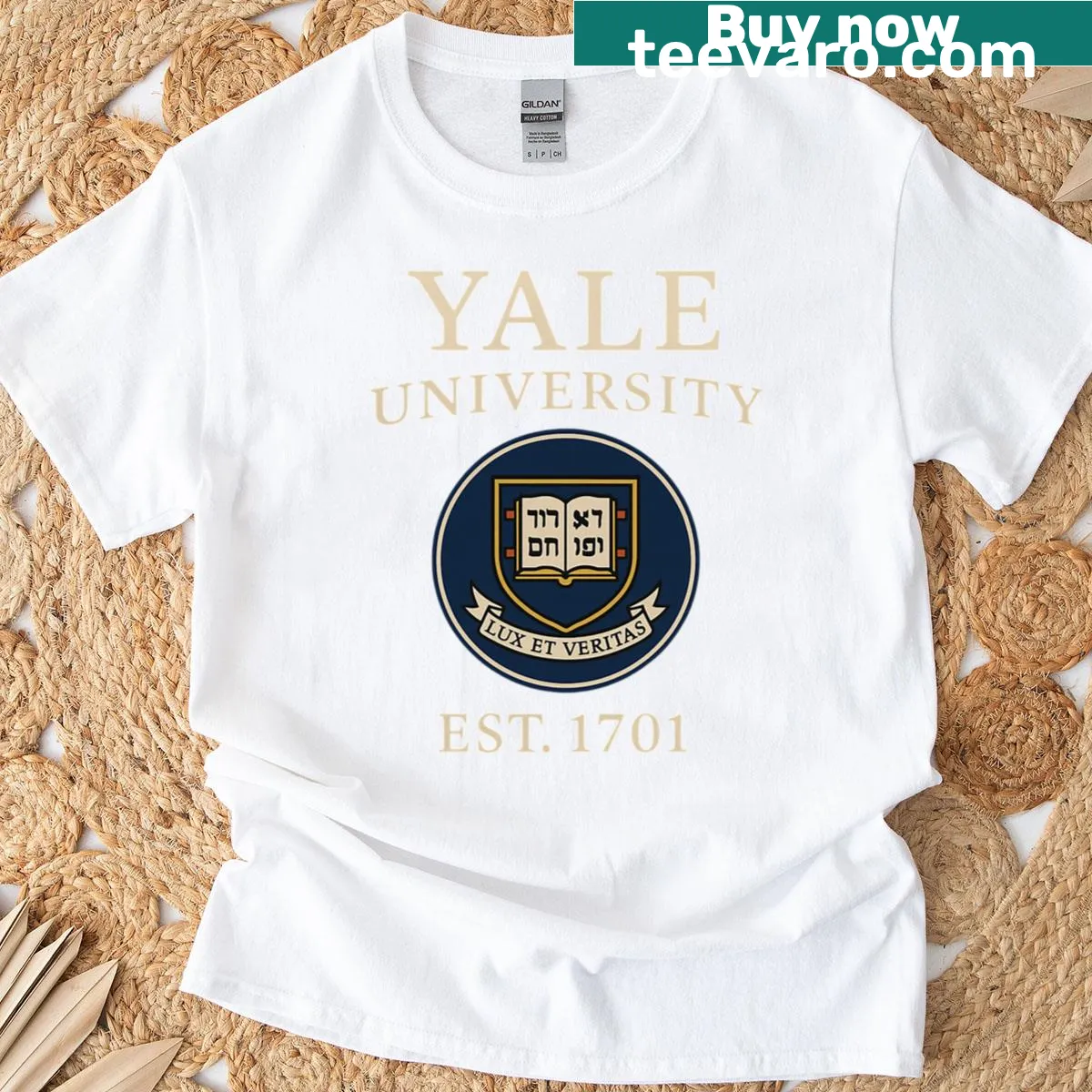 Vintage Yale University t-shirt with collegiate logo — on a men's t-shirt