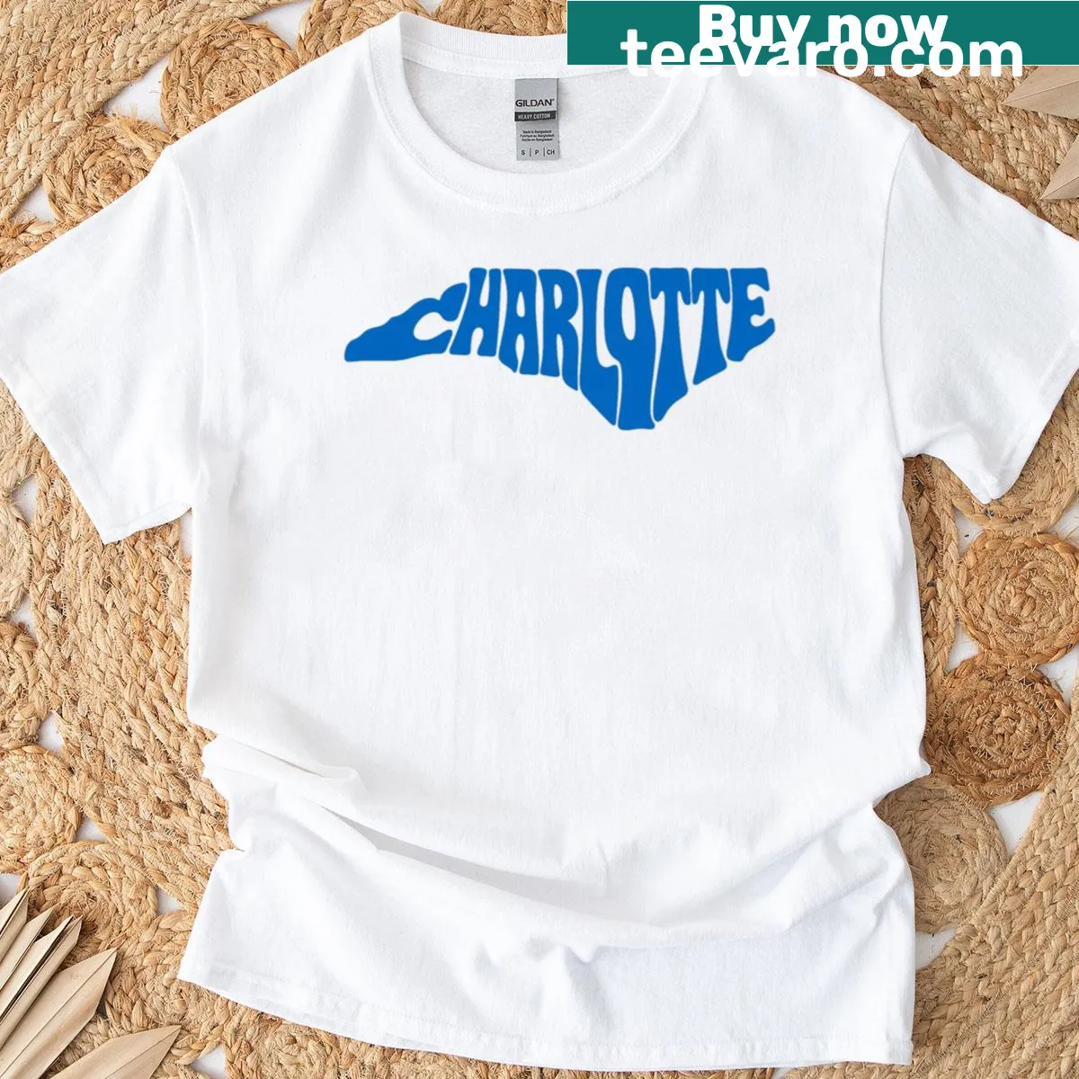 Retro graphic T-shirt shaped like North Carolina, celebrating Charlotte — on a men's t-shirt