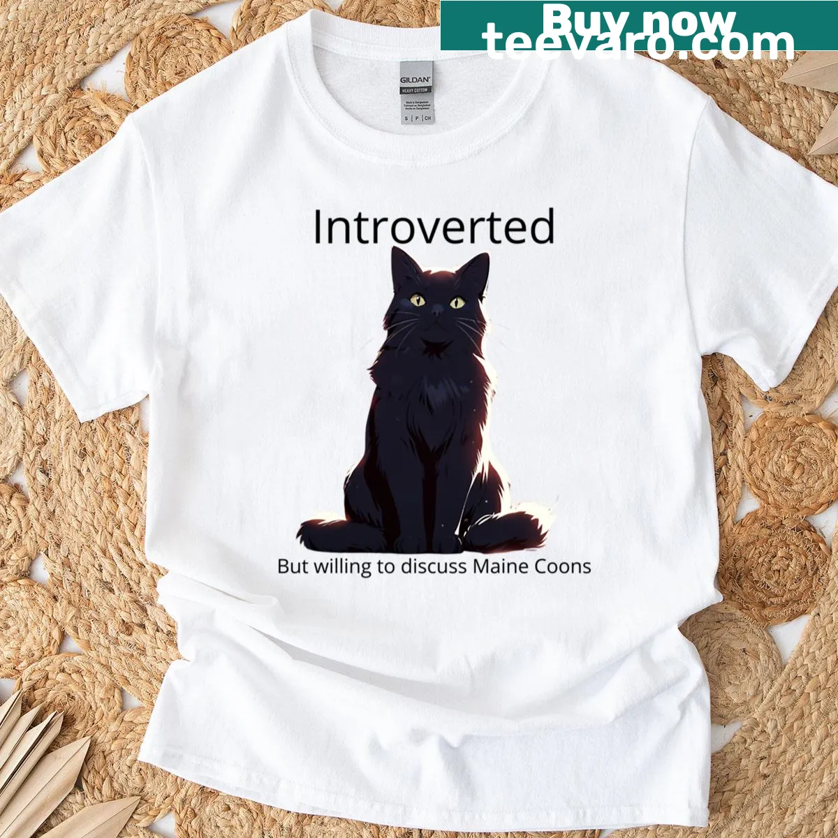Funny graphic tee about being introverted and Maine Coons — on a men's t-shirt