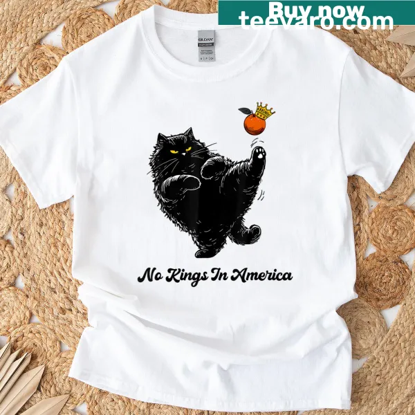 We The People t-shirt with No Kings In America slogan
