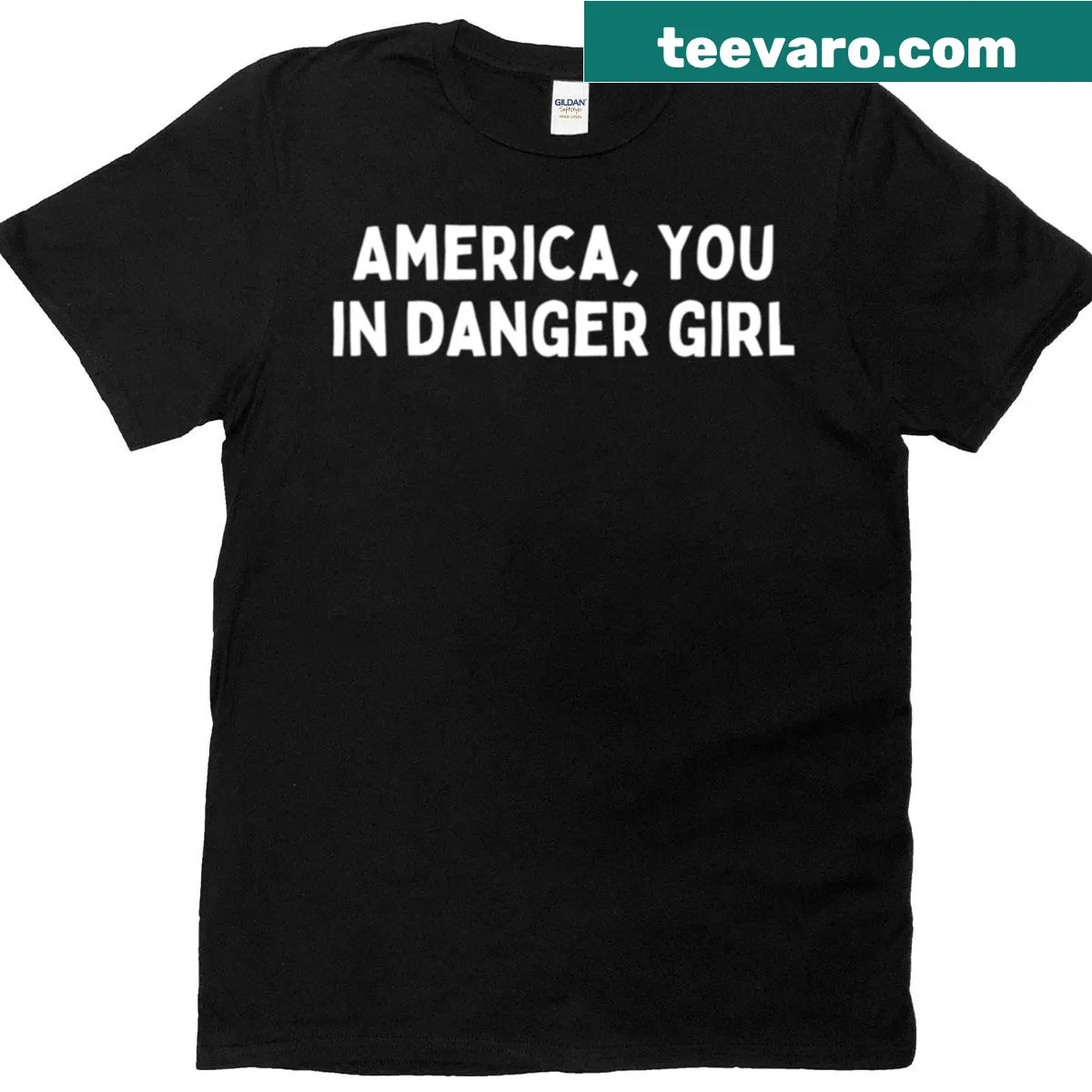 Humorous America You In Danger Girl T-shirt with playful text — on a men's t-shirt