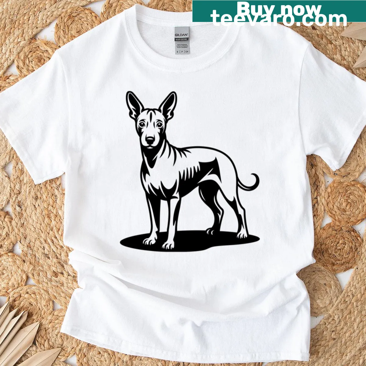 Illustration of a Xolo Mexican Hairless Dog on T-shirt. — on a men's t-shirt
