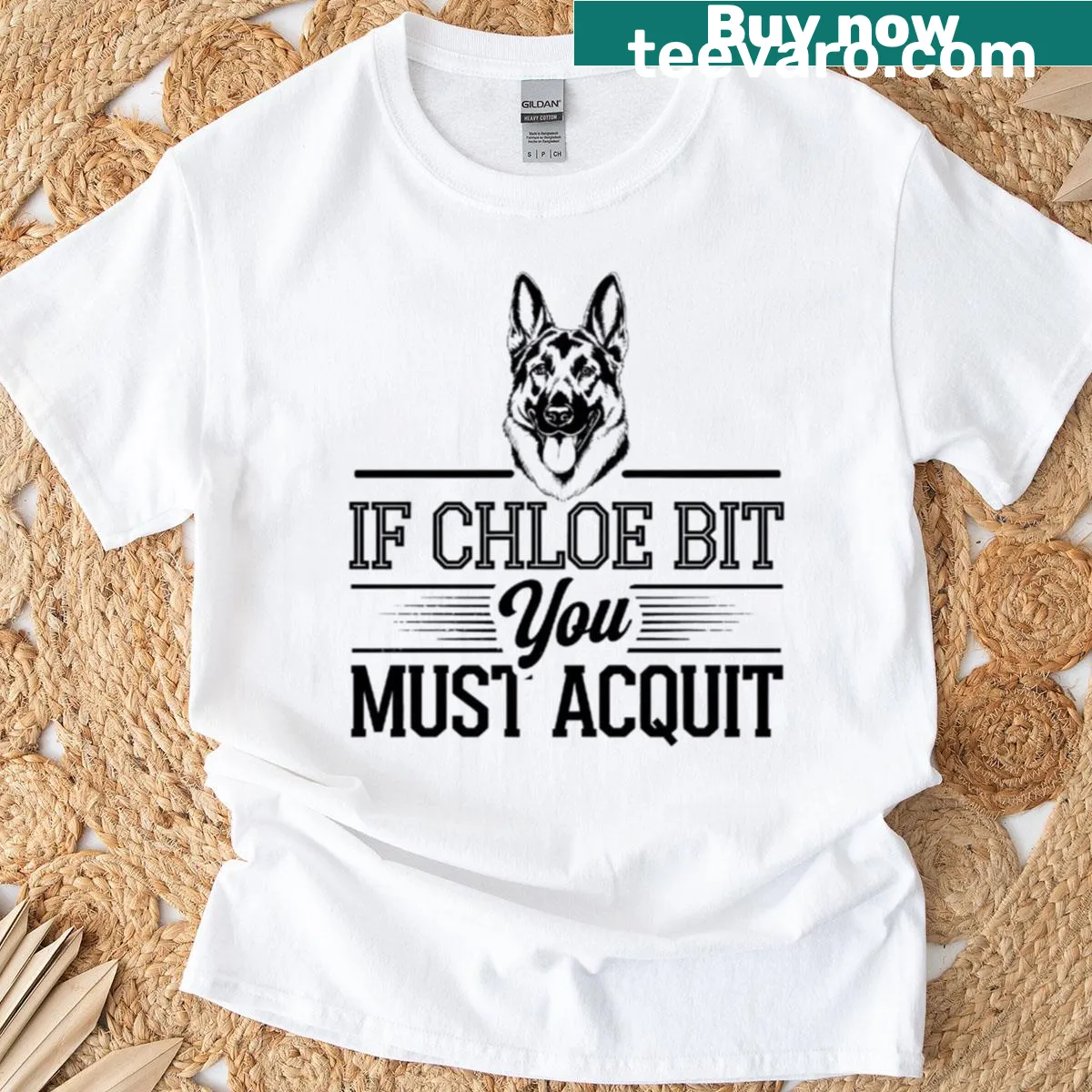 Funny dog-themed T-shirt with humorous text about Chloe — on a men's t-shirt