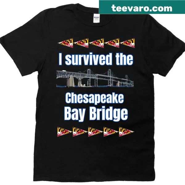 Illustration of the Chesapeake Bay Bridge with survival theme