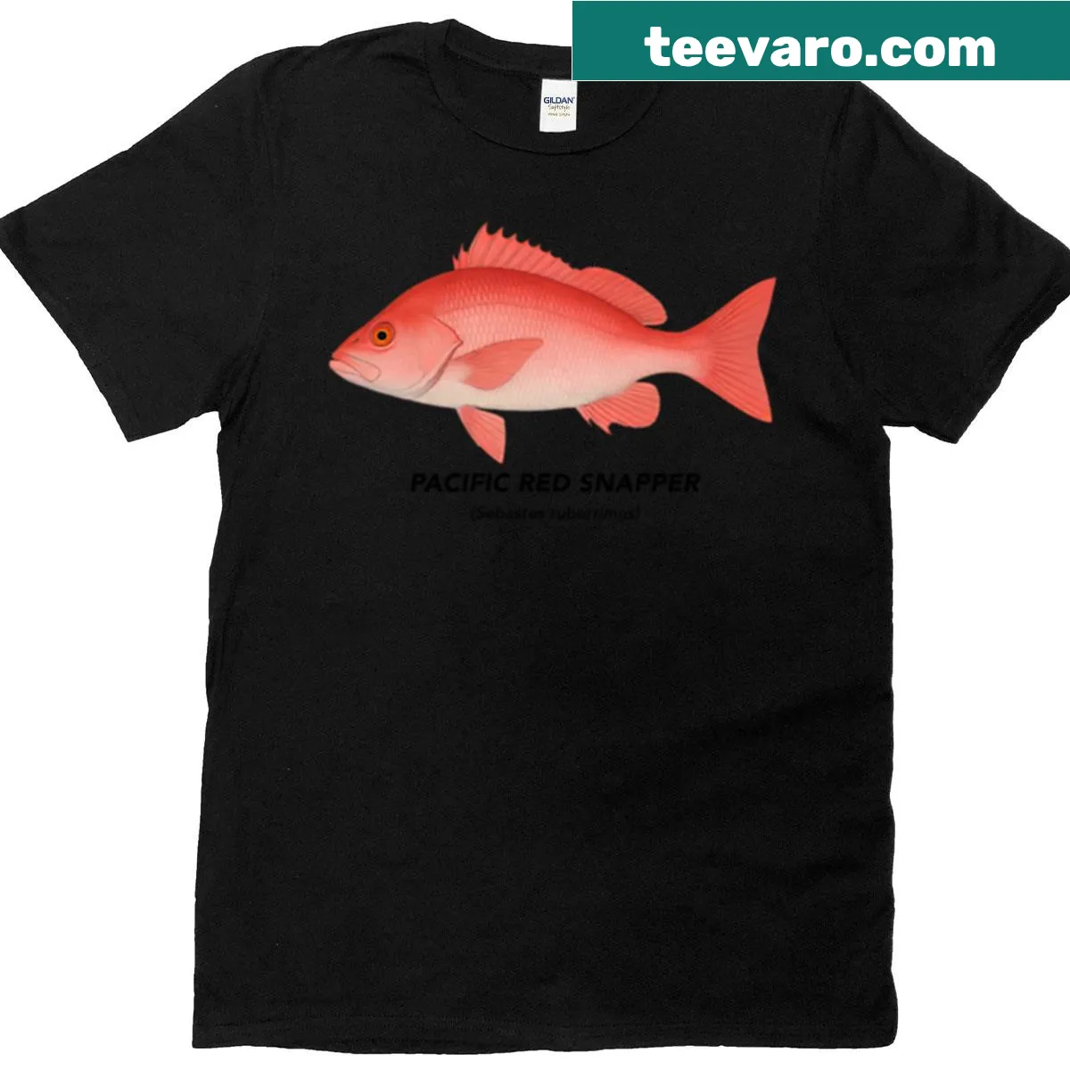 Illustration of a Pacific Red Snapper marine animal on a t-shirt — on a men's t-shirt