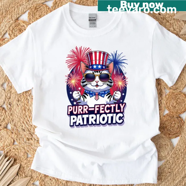 Funny cat in a patriotic hat with fireworks graphic