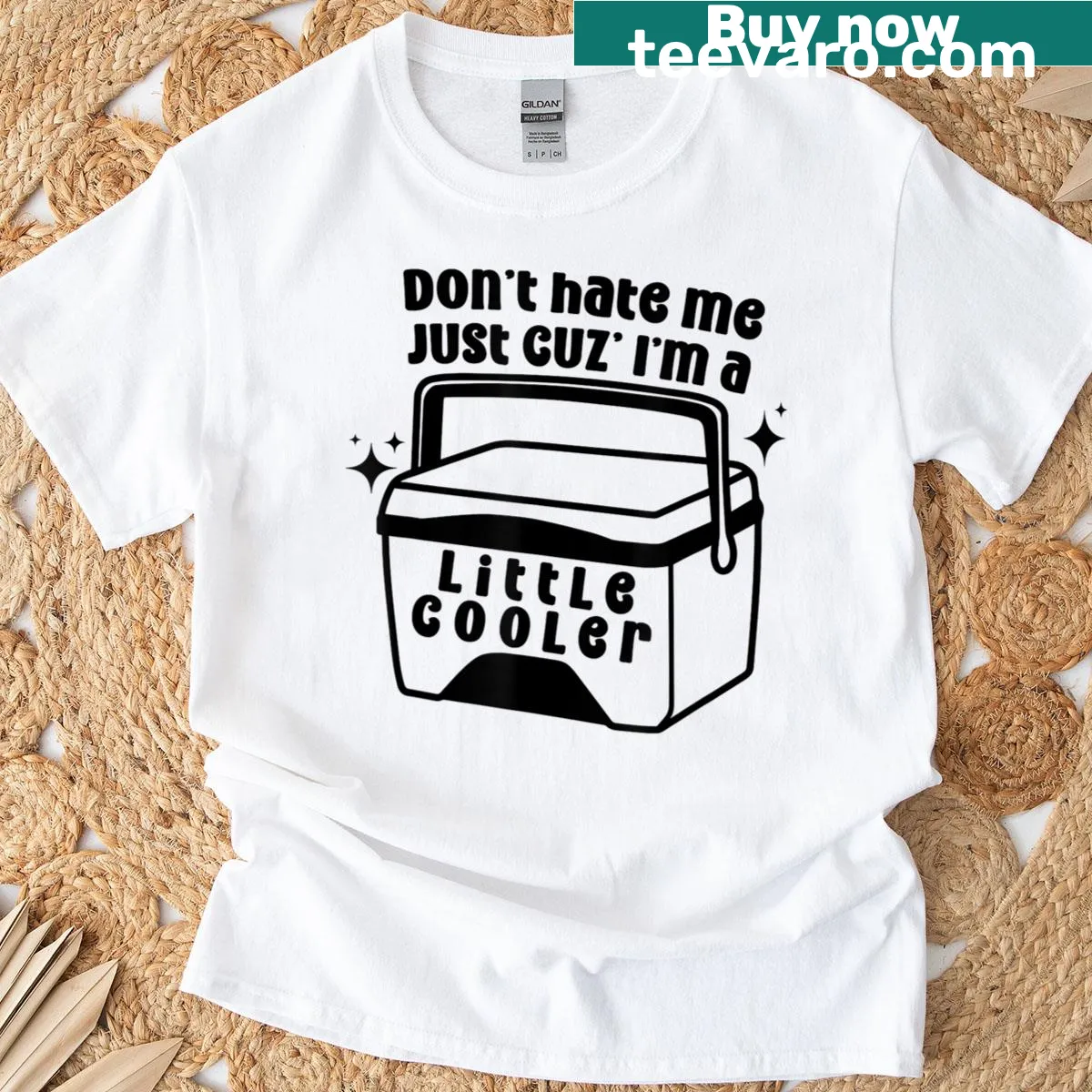 Humorous quote T-shirt with 'Dont Hate Me Just Cuz Im A Little Cooler' text — on a men's t-shirt