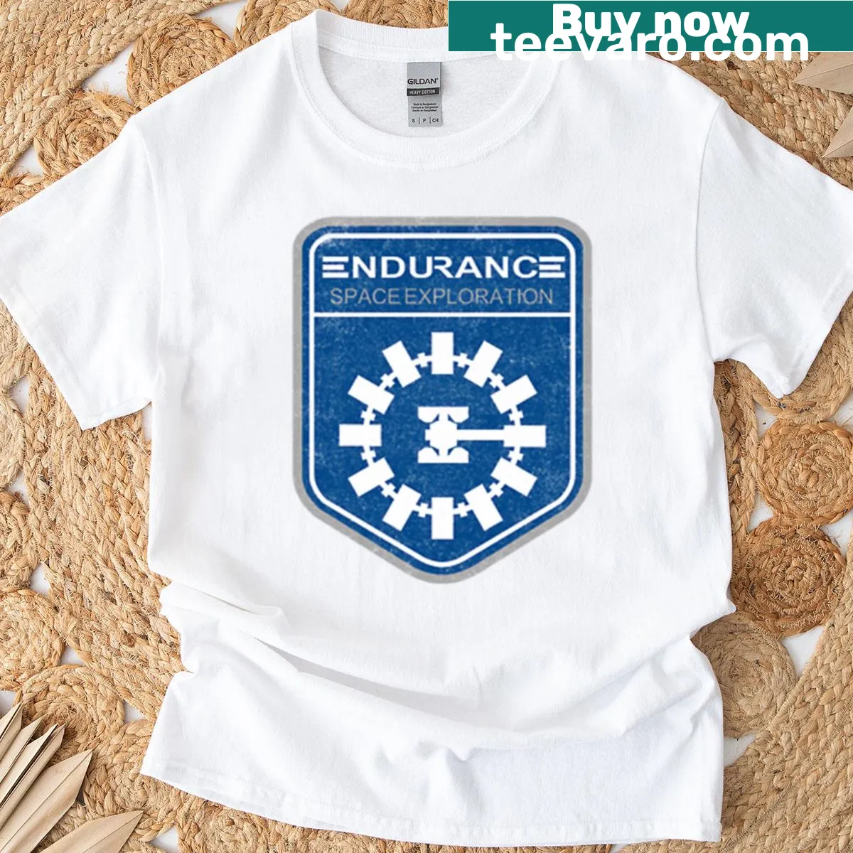 Endurance Space Program inspirational graphic on tee — on a men's t-shirt