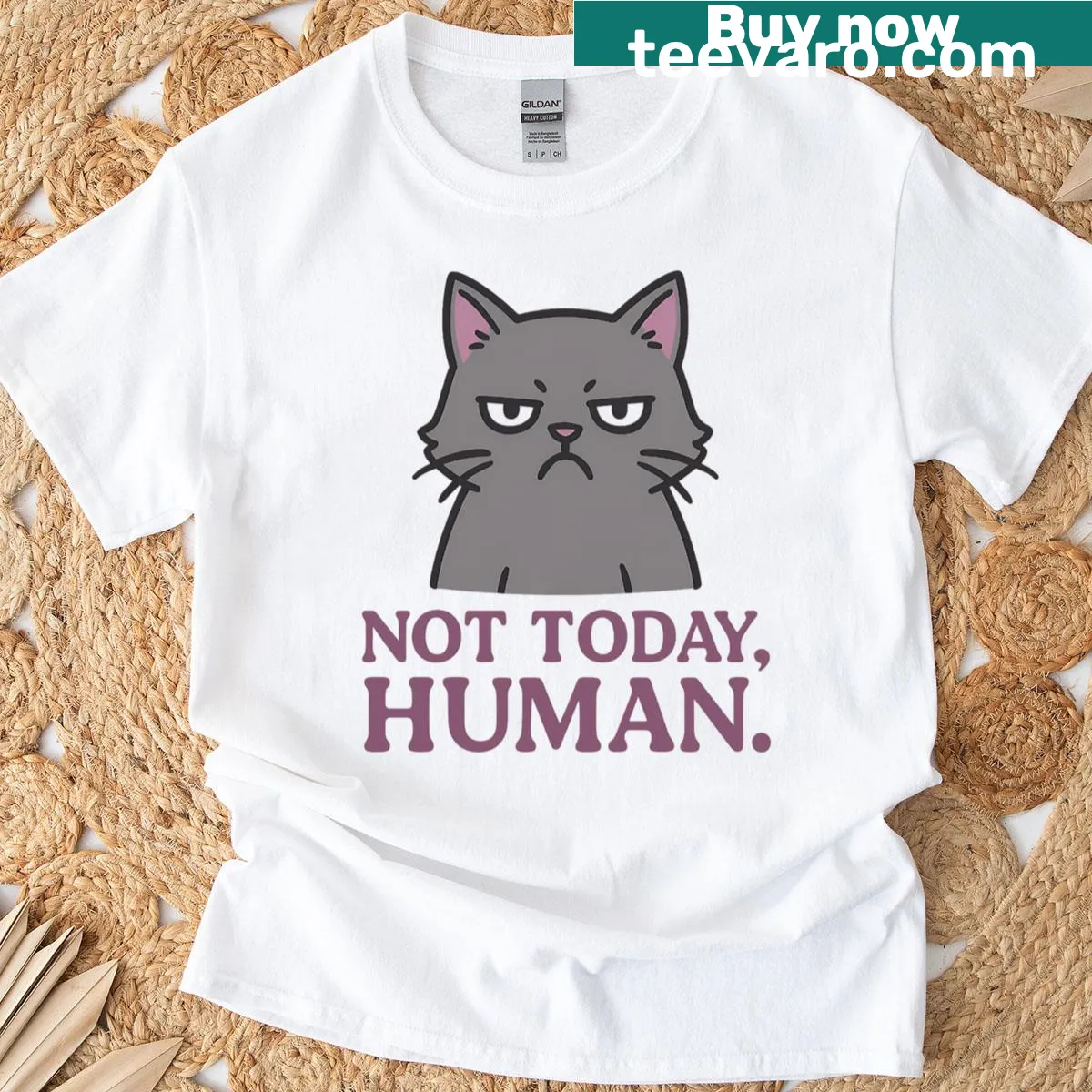 Oversized T-shirt featuring a grumpy cat and the quote 'Not Today Human' — on a men's t-shirt