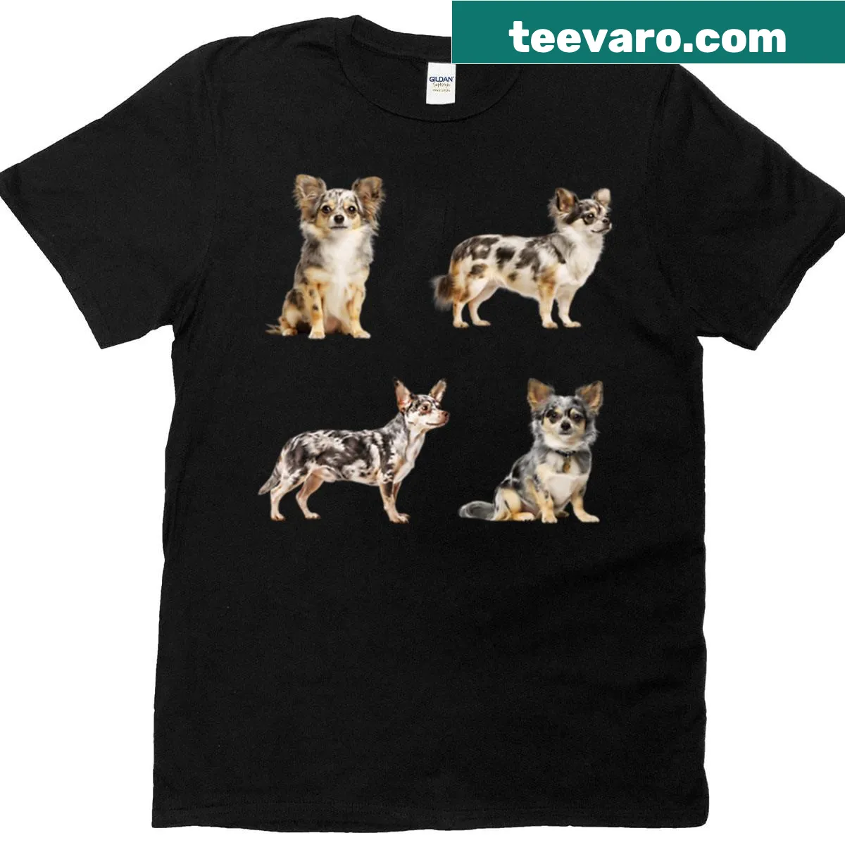 Illustration of a Blue Merle Chihuahua on T-shirt — on a men's t-shirt