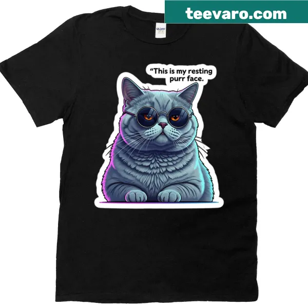 Illustration of a British Shorthair cat with a resting face